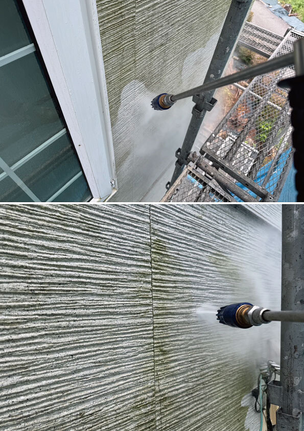 洗浄　苔をキレイに落とします